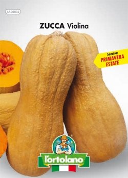 Sementi orticole di qualità l'ortolano in busta termosaldata (160 varietà) (ZUCCA VIOLINA)-0