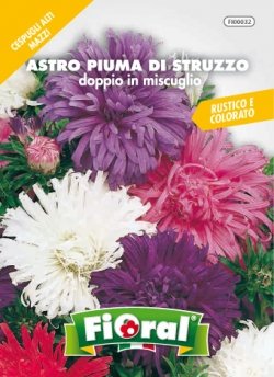 Sementi da fiore di qualità in bustina per uso amatoriale (ASTRO PIUMA STRUZZO DOPPIO IN MISCUGLIO)-0