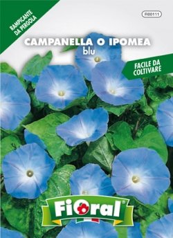 Sementi da fiore di qualità in bustina per uso amatoriale (CAMPANELLA O IPOMEA BLU)-0