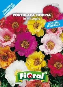 Sementi da fiore di qualità in bustina per uso amatoriale (PORTULACA DOPPIA IN MISCUGLIO)-0