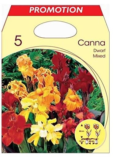 CANNA INDICA VARI COLORI 5 BULBI (bulbi da fiore)-15503