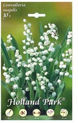 CONVALLARIA BIANCA MAJALIS 10 BULBI (bulbi da fiore)-0
